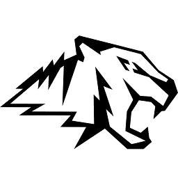 custom_website